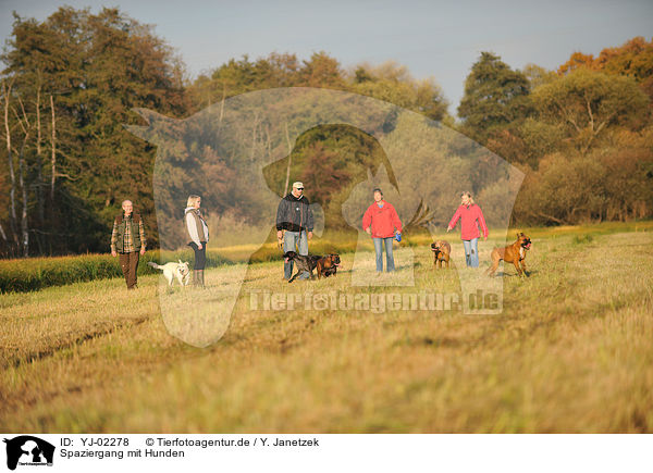 Spaziergang mit Hunden / people with dogs / YJ-02278