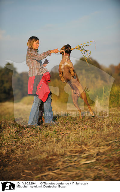 Mdchen spielt mit Deutscher Boxer / girl plays with German Boxer / YJ-02294