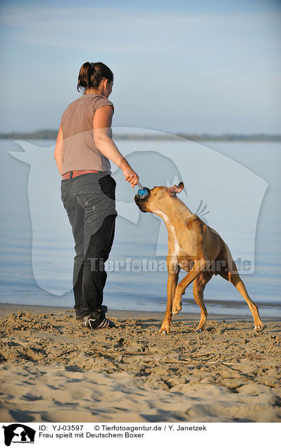 Frau spielt mit Deutschem Boxer / YJ-03597
