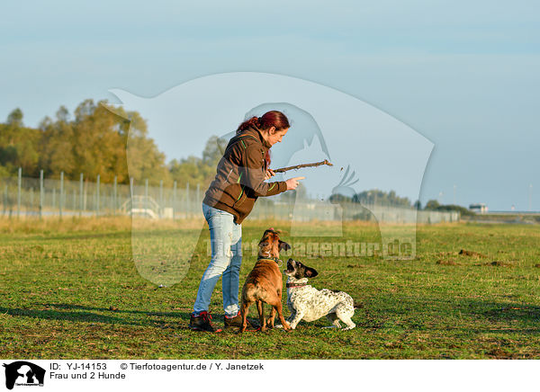 Frau und 2 Hunde / woman and 2 dogs / YJ-14153