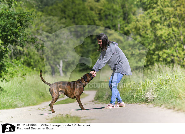 Frau und Deutscher Boxer / YJ-15988