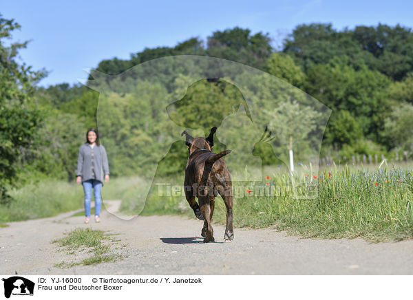 Frau und Deutscher Boxer / woman and German Boxer / YJ-16000