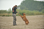 Frau spielt mit Deutschem Boxer