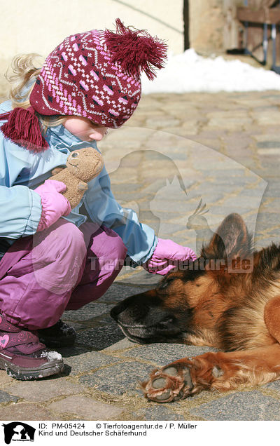 Kind und Deutscher Schferhund / child and German Shepherd / PM-05424
