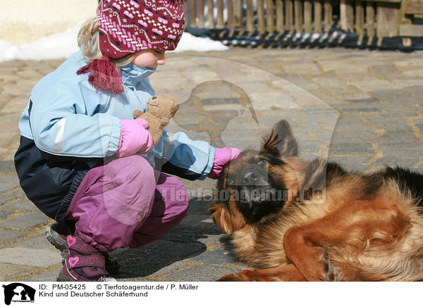 Kind und Deutscher Schferhund / child and German Shepherd / PM-05425