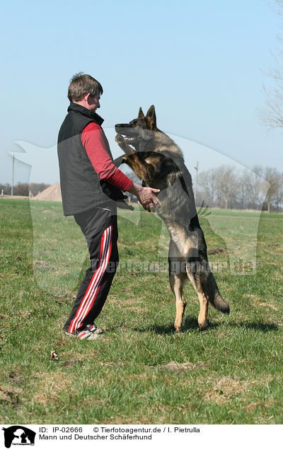 Mann und Deutscher Schferhund / man and German Shepherd / IP-02666