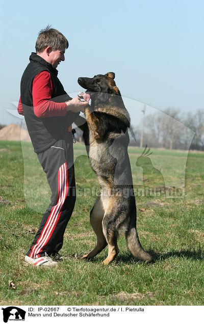 Mann und Deutscher Schferhund / man and German Shepherd / IP-02667