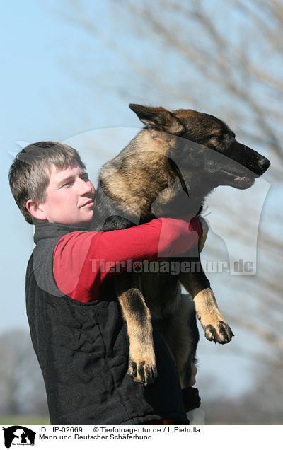 Mann und Deutscher Schferhund / man and German Shepherd / IP-02669