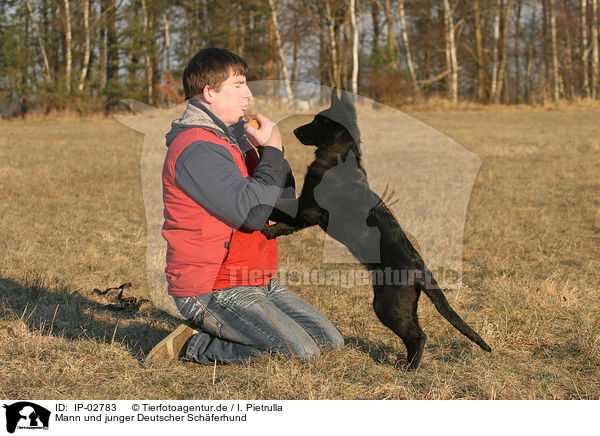 Mann und junger Deutscher Schferhund / man and young German Shepherd / IP-02783