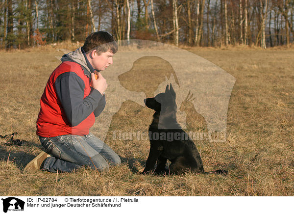 Mann und junger Deutscher Schferhund / man and young German Shepherd / IP-02784