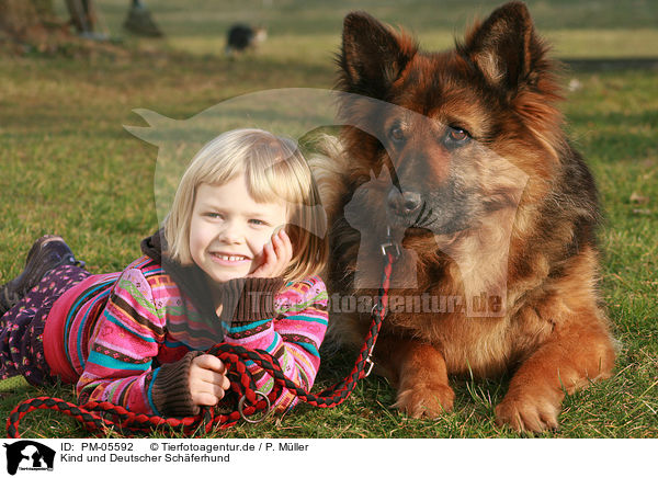 Kind und Deutscher Schferhund / child and German Shepherd / PM-05592