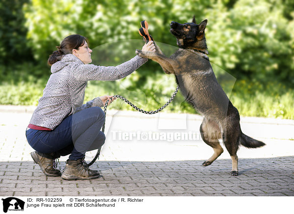 junge Frau spielt mit DDR Schferhund / young woman plays with GDR Shepherd / RR-102259