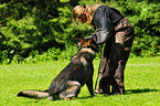Deutscher Schferhund beim Schutzhundsport