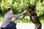 junge Frau spielt mit DDR Schferhund