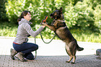 junge Frau spielt mit DDR Schferhund