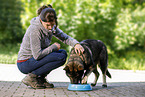 junge Frau fttert DDR Schferhund