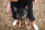 Deutscher Schferhund