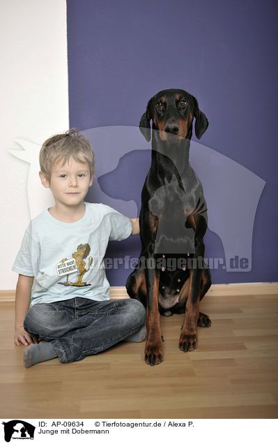 Junge mit Dobermann / boy with Doberman Pinscher / AP-09634