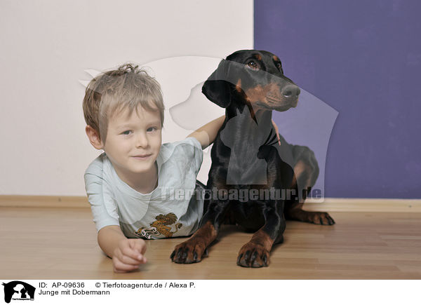 Junge mit Dobermann / boy with Doberman Pinscher / AP-09636