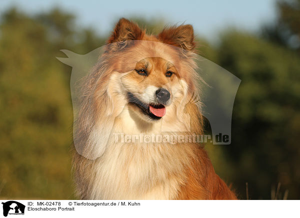 Eloschaboro Portrait / Eloschaboro Portrait / MK-02478