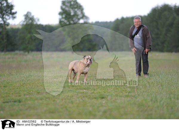 Mann und Englische Bulldogge / AM-02562