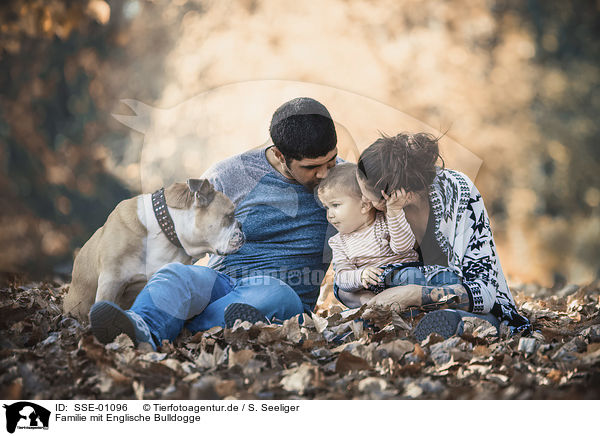 Familie mit Englische Bulldogge / family with English Bulldog / SSE-01096