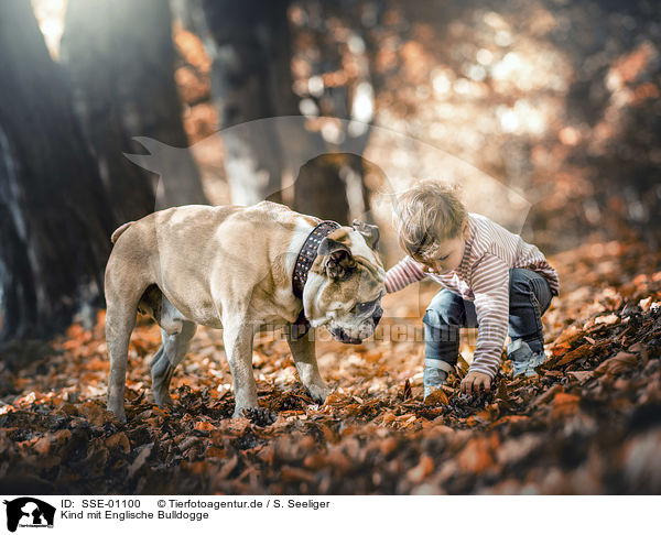 Kind mit Englische Bulldogge / Cild with English Bulldog / SSE-01100