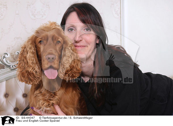 Frau und English Cocker Spaniel / SS-44047