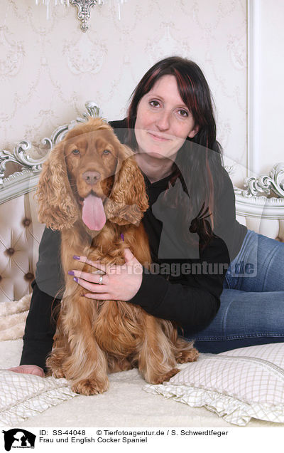 Frau und English Cocker Spaniel / woman and English Cocker Spaniel / SS-44048