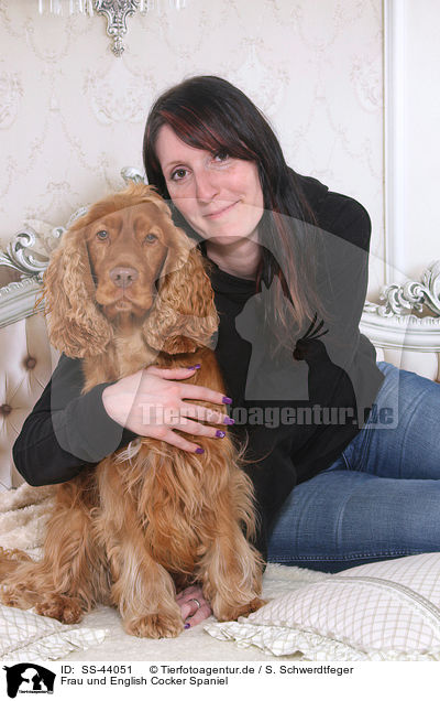 Frau und English Cocker Spaniel / woman and English Cocker Spaniel / SS-44051
