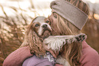 English Cocker Spaniel Rde