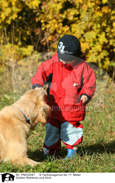 Golden Retriever und Kind / PM-04281