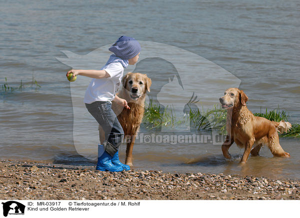 Kind und Golden Retriever / MR-03917