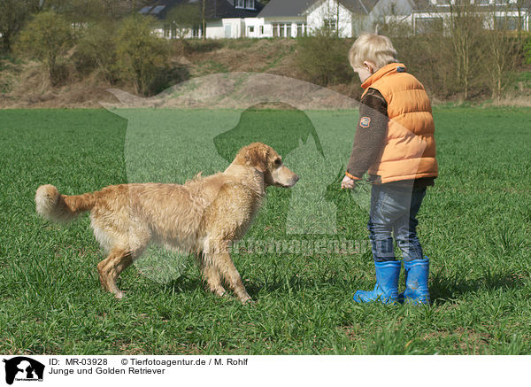 Junge und Golden Retriever / MR-03928