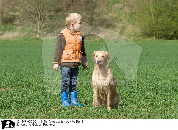 Junge und Golden Retriever / MR-03929