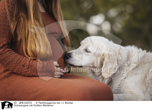 Schwangere mit Golden Retriever / pregnant woman with Golden Retriever / JEB-02072