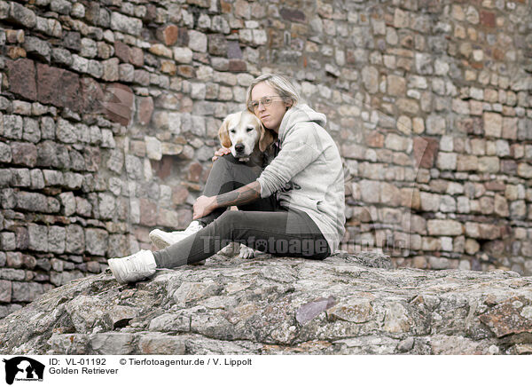Golden Retriever / Golden Retriever / VL-01192