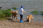 Kind und Golden Retriever