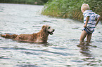 badender Golden Retriever