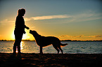 Frau und Golden Retriever