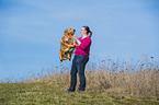 springender Golden Retriever