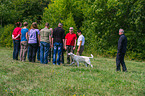 Golden Retriever beim Wesenstest