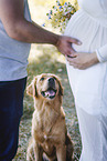 Schwangere mit Golden Retriever