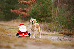 Golden Retriever mit Weihnachtsdeko