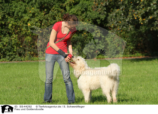 Frau und Goldendoodle / SS-44292