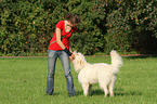 Frau und Goldendoodle