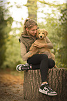 Goldendoodle Welpe