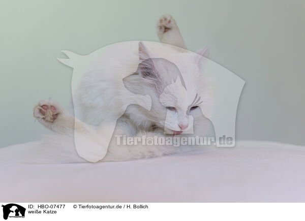 weie Katze / HBO-07477