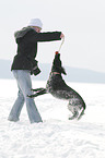 Groer Mnsterlnder im Schnee