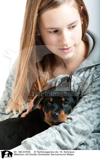 Mdchen mit Groer Schweizer Sennenhund Welpe / girl with Great Swiss Mountain Dog puppy / NS-03599